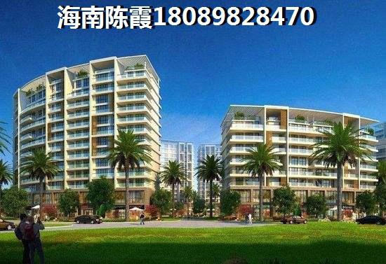 未来的京师国府是什么样子？